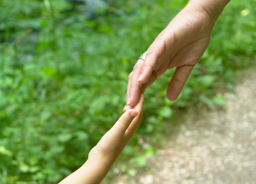 image of adult holding a child\'s hand
